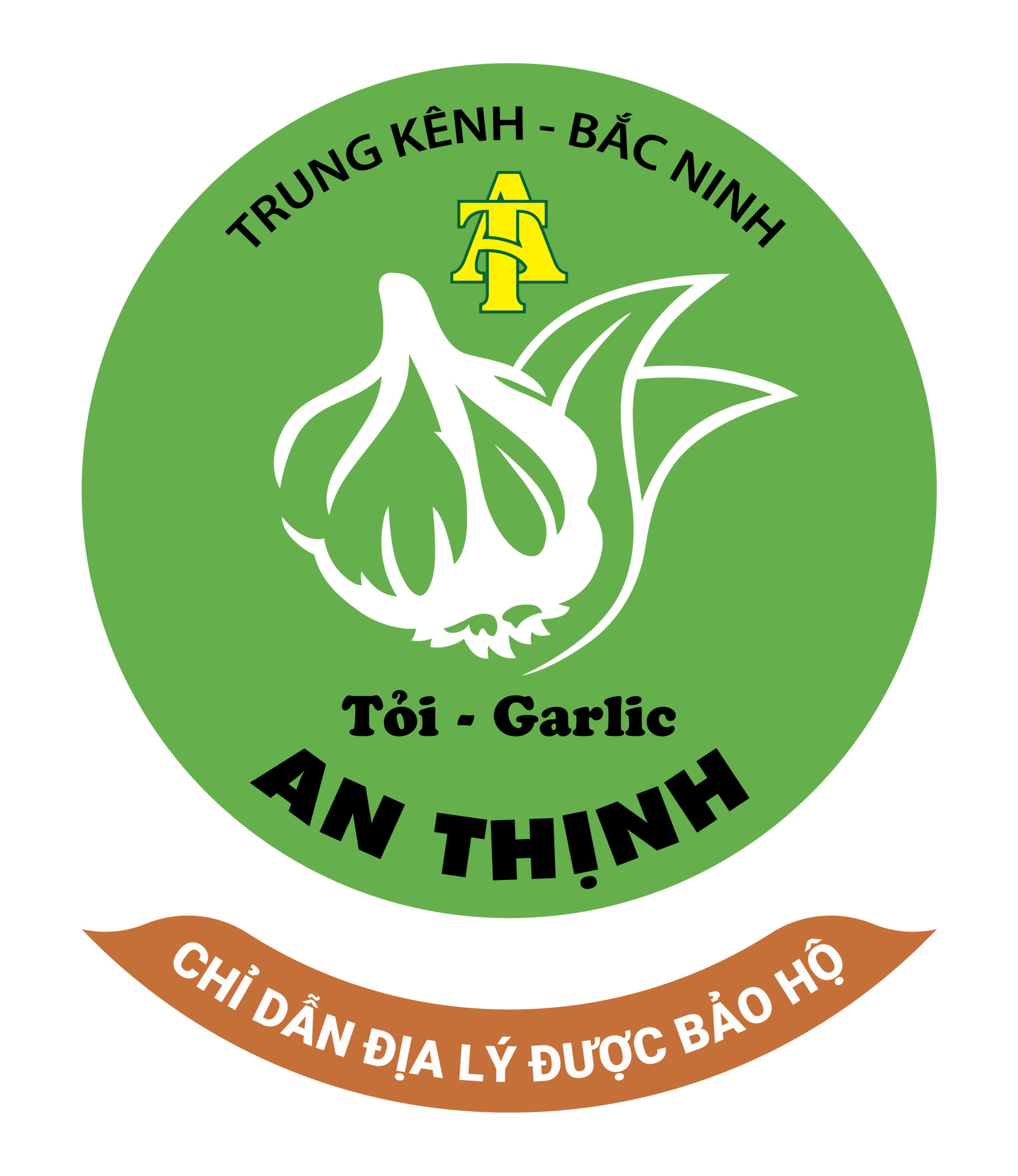 Nhận diện Tỏi An Thịnh